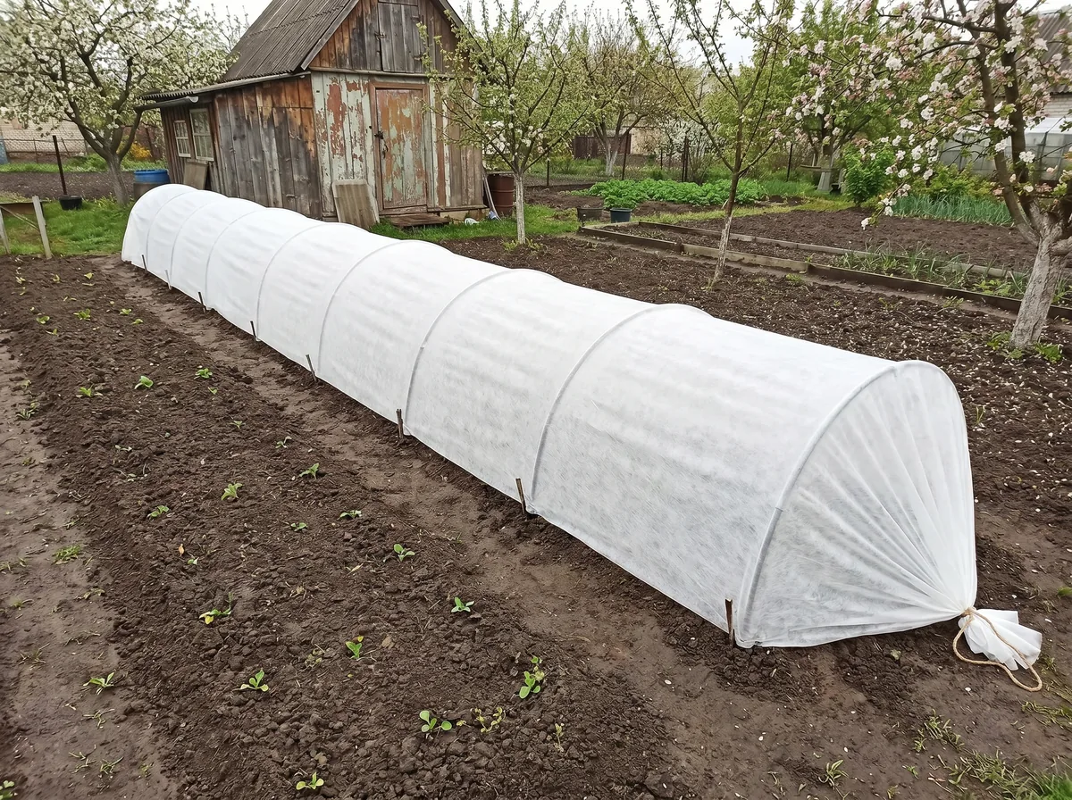 Парник 10 метрів